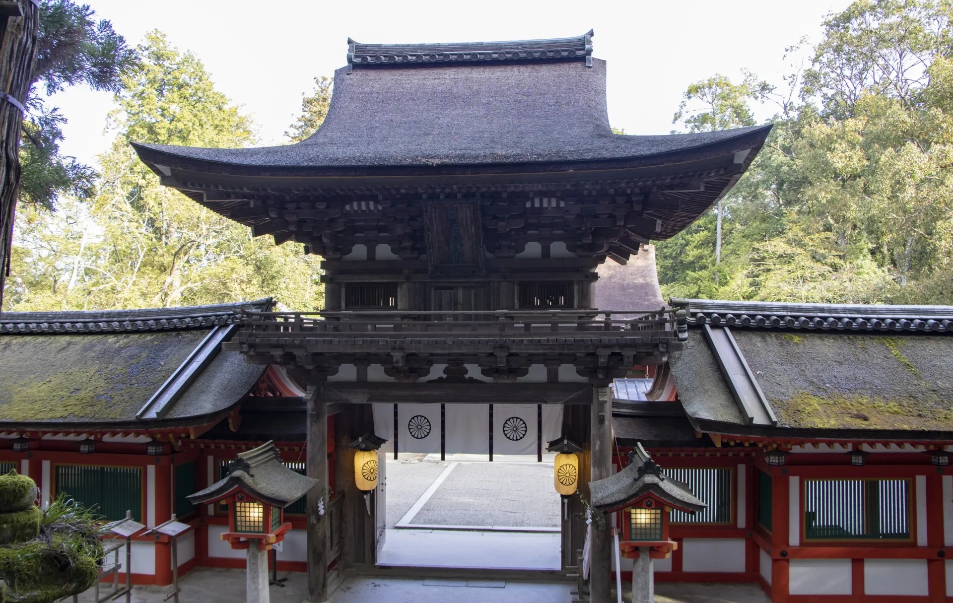 祈祷の読み方や意味は?種類6つや流れ、注意点も詳しく解説