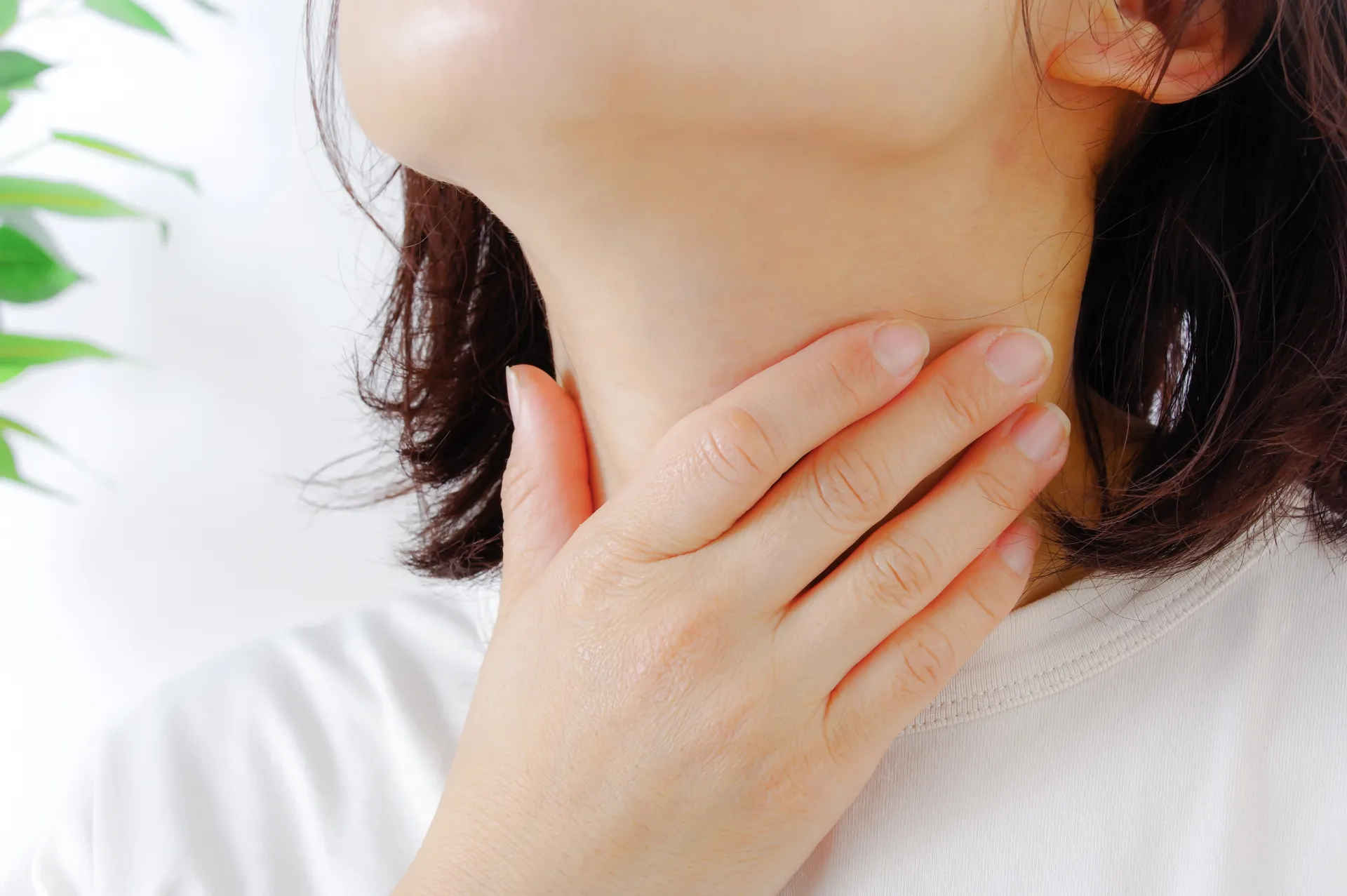 喉仏の骨はどうするべき?大事にされる理由と浄土真宗などでの供養方法をご紹介