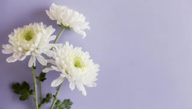 喪中で迎える正月の過ごし方