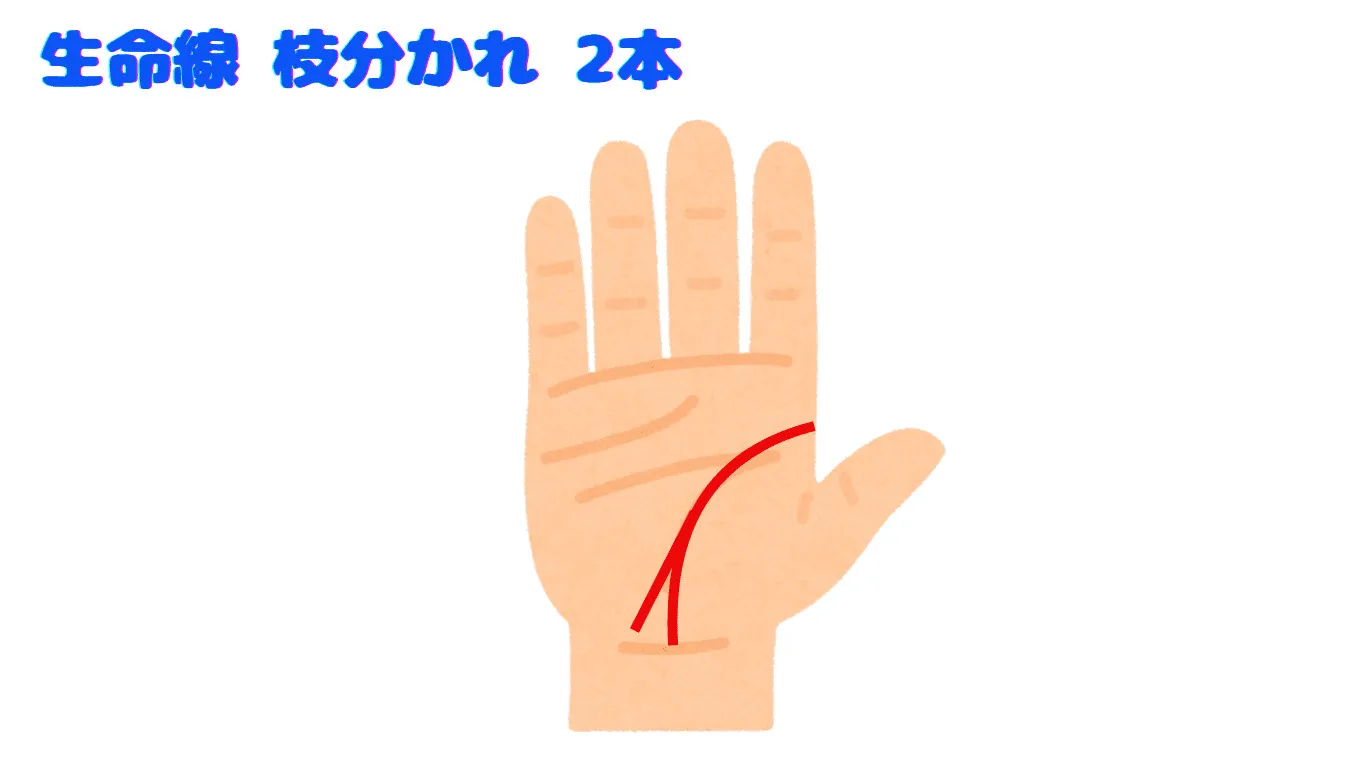 生命線 枝分かれ 2本