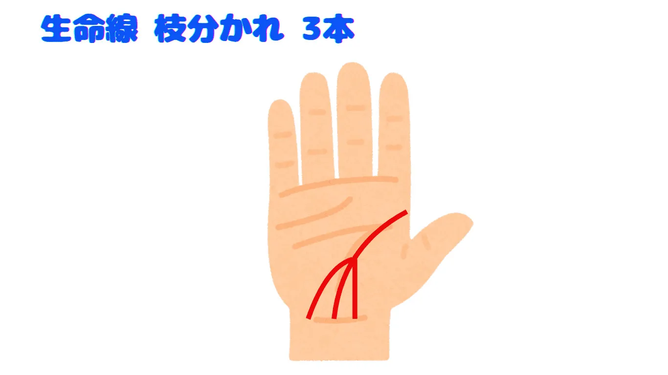 生命線 枝分かれ 3本