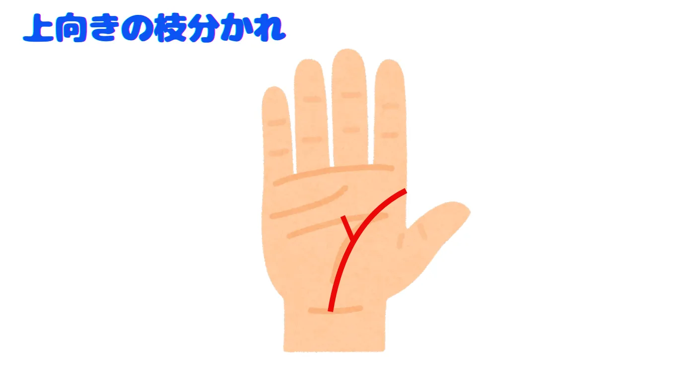 生命線 上向きの枝分かれ
