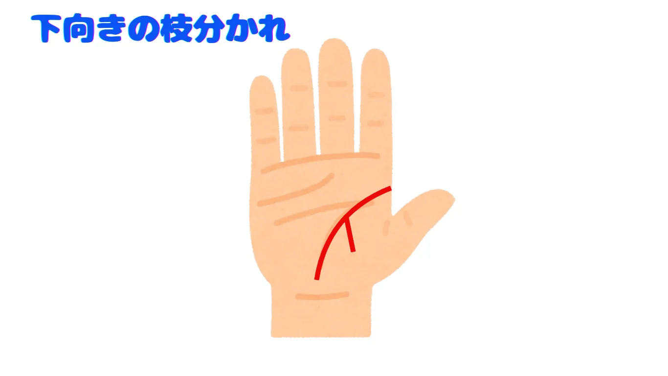 生命線 下向きの枝分かれ