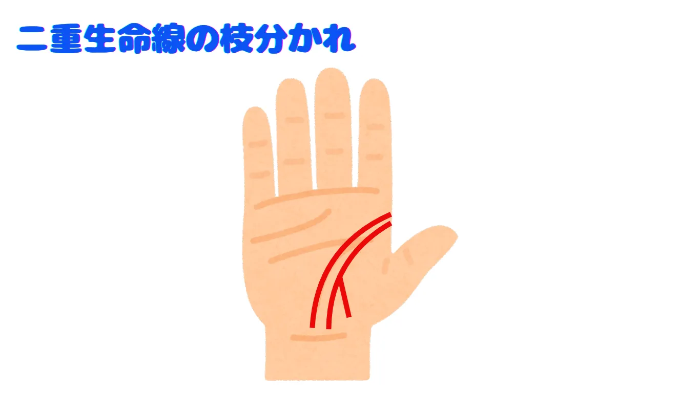 二重生命線の枝分かれの意味は?