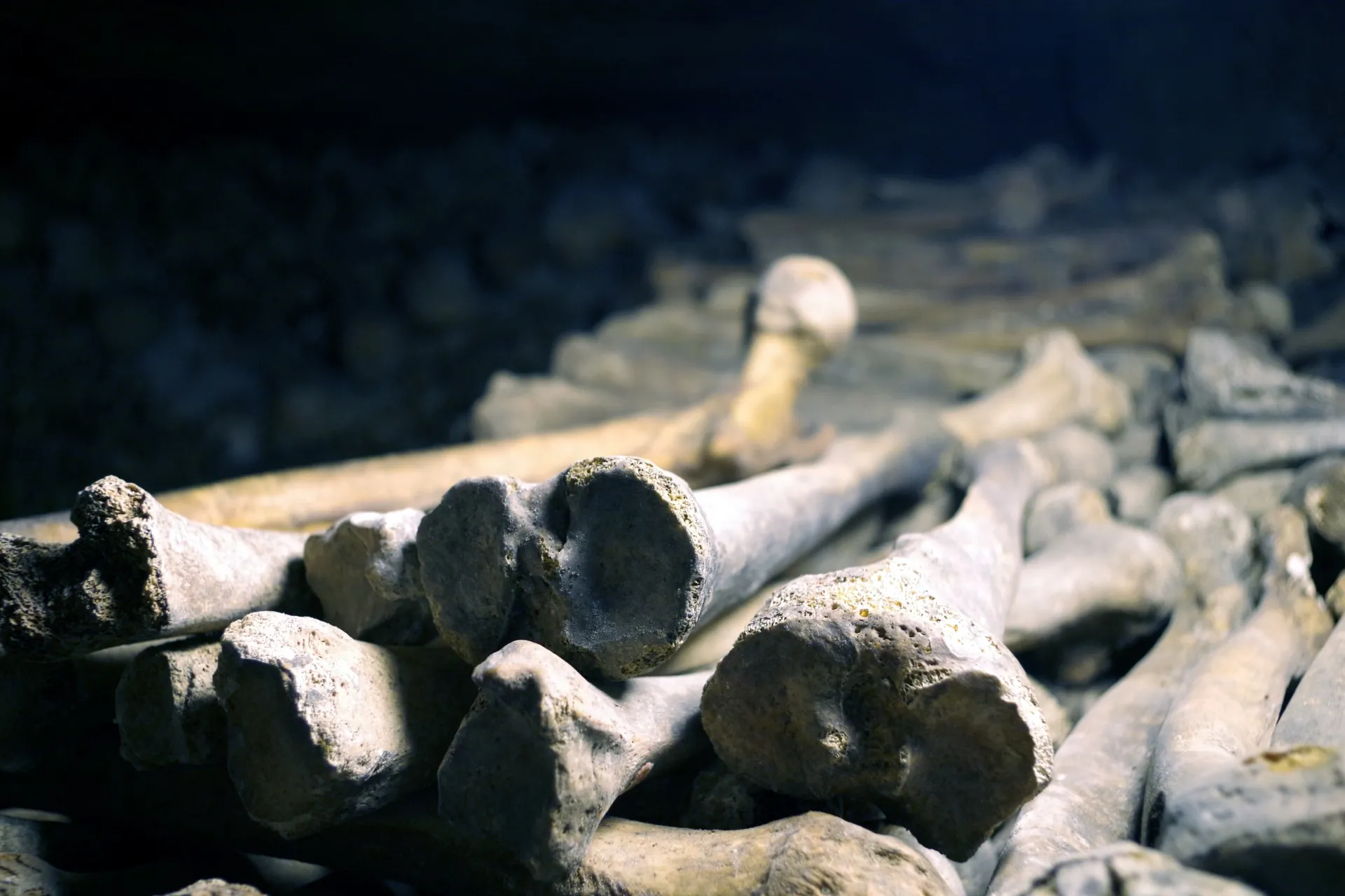 部分収骨とは?東日本と西日本の葬儀文化の違いと背景