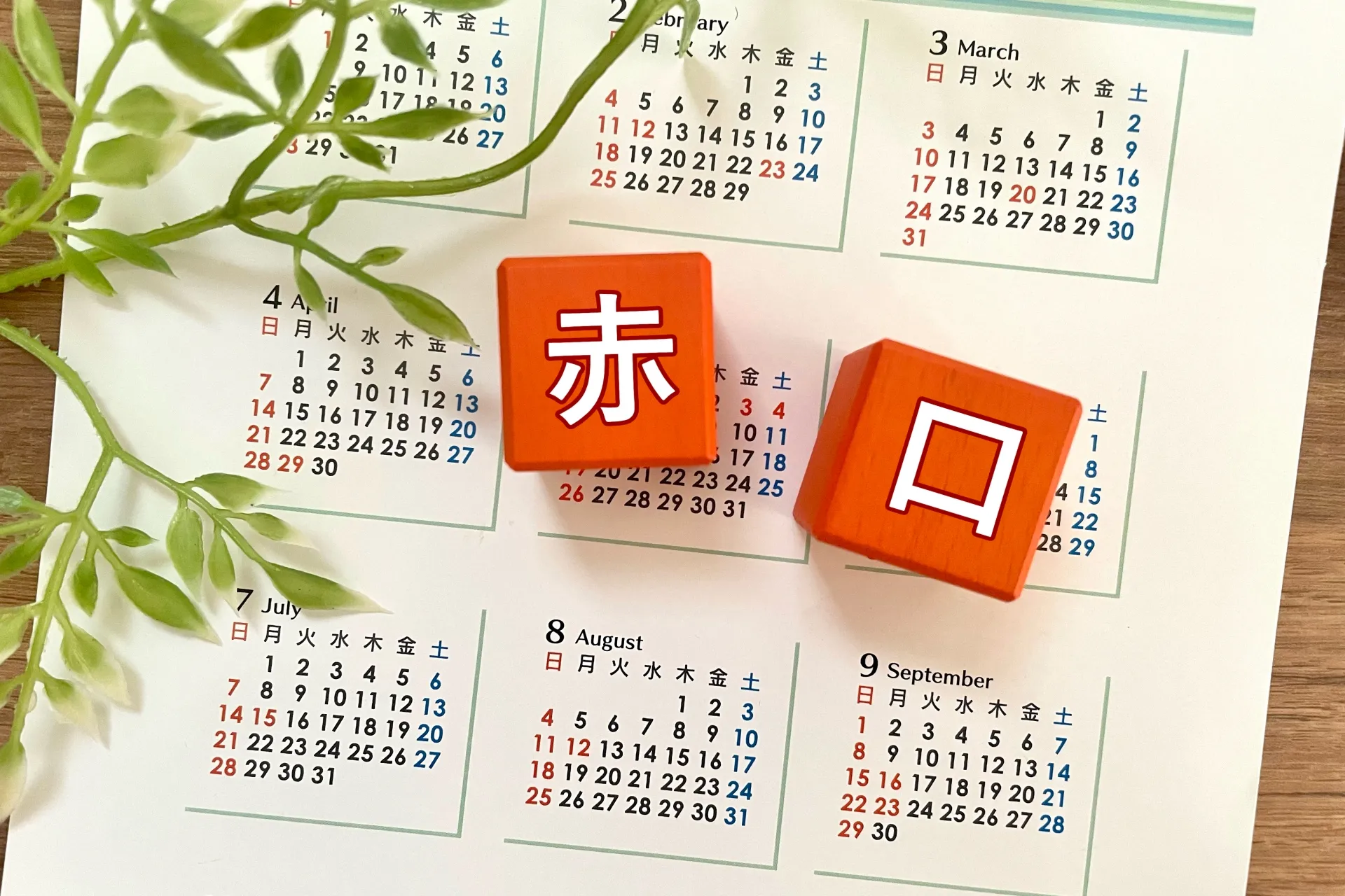 葬儀は赤口でも行える！理由や注意点、避けたほうが良い日を紹介