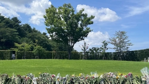 そもそも樹木葬とは？後悔を避けるためにまず仕組みを理解する