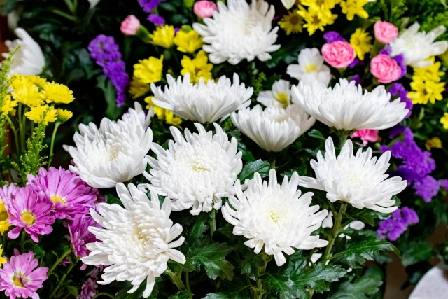 供花や花祭壇に強みを持つ葬儀社を比較