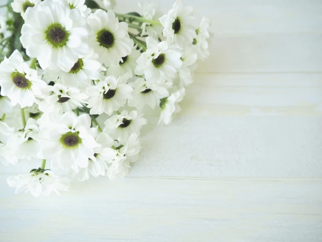 供花っていくらが相場？関係性別に教えて