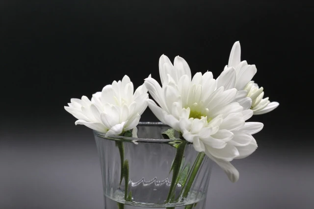 最近増えてる家族葬、供花はどうすればいい？