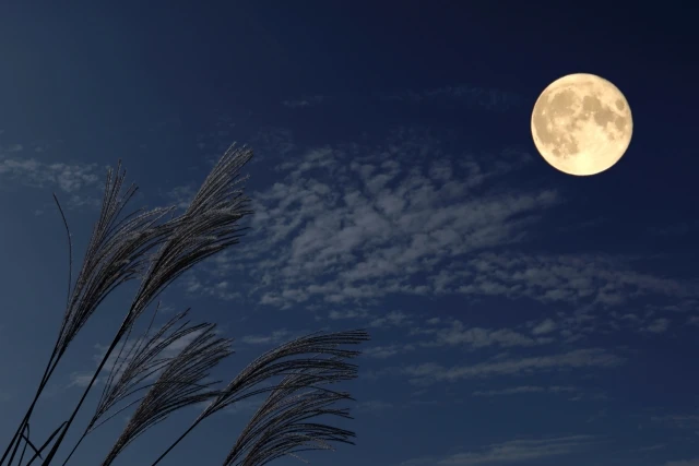 満月と体調不良の関係とは?