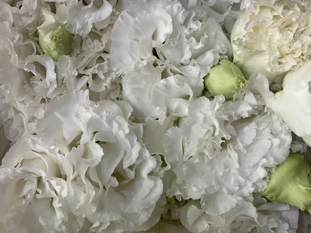 献花に使用する花の種類は？