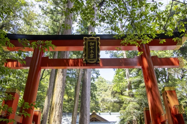 祈祷の主な種類と目的別の選び方