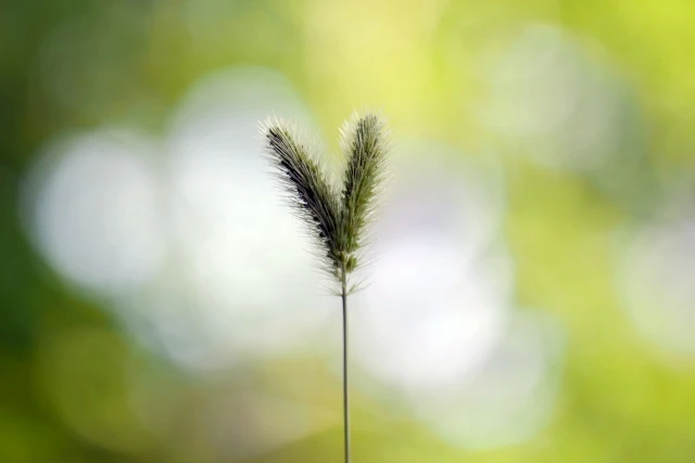 死んだ人に会えると信じることのメリットと注意点