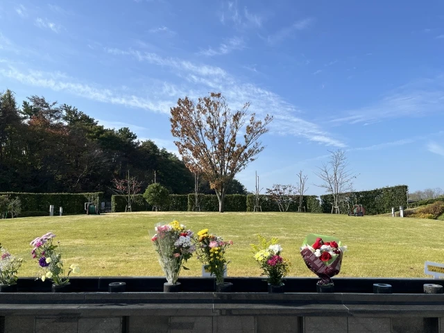 樹木葬を後悔する理由は?樹木葬での埋葬方法や、注意すべきポイントを解説